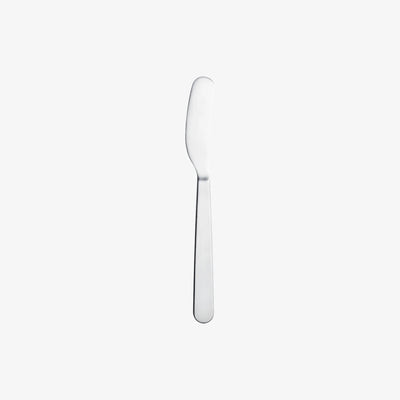 Common Stainless Steel Cutlery