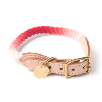 Found My Animal, Marine Grade Pet Collar - Coral Fade, X-Small- Placewares